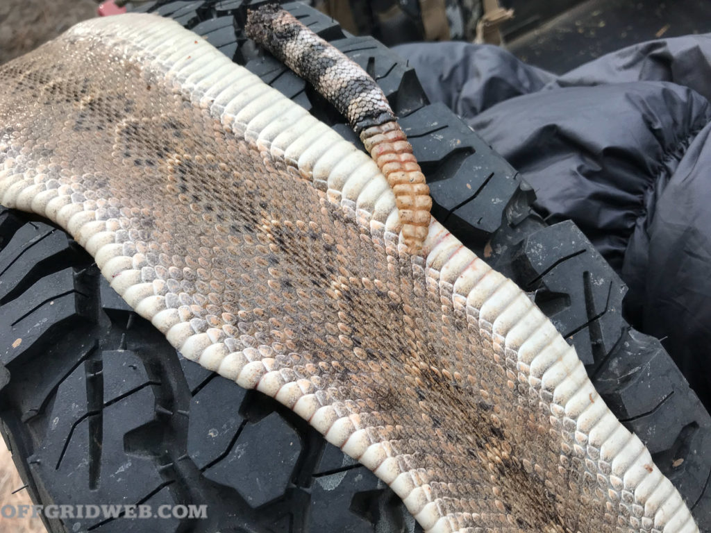 snakeskin saved hunting reptiles