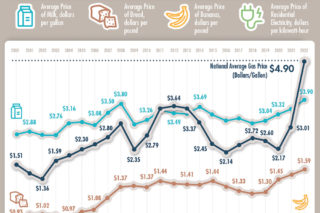 Infographic: Inflation Adjusted Gas prices