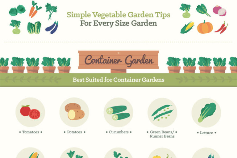 Infographic: Backyard Gardening Tips for Vegetables, Fruits, and Herbs