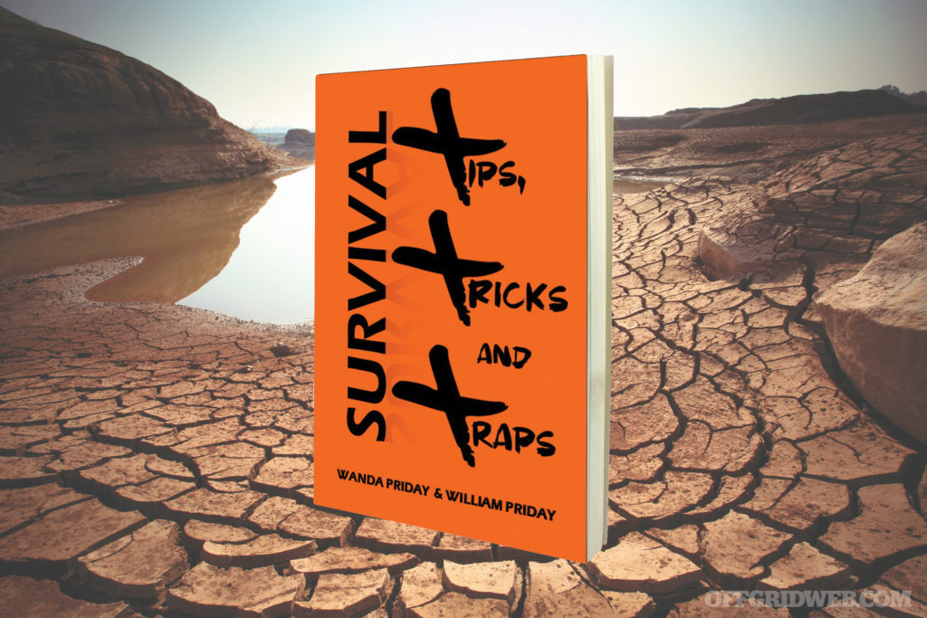 Book Review: “Survival Tips, Tricks, and Traps”