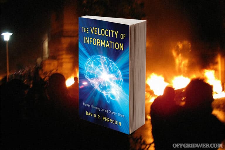 Book Review: “The Velocity of Information” by David P. Perrodin