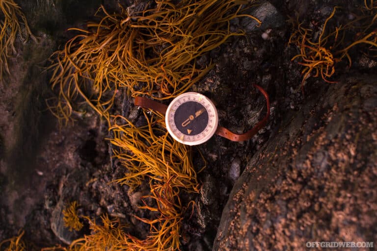 A wrist-worn compass lying on a moss covered rock.