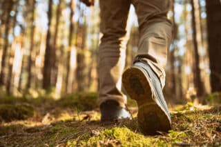 Person walking in the woods. Speed-hiking shoes closeup.