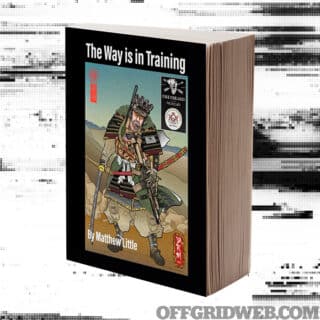 Book Review: The Way is in Training