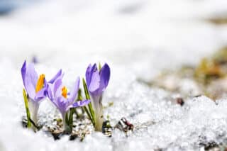 gear-up-spring-into-action