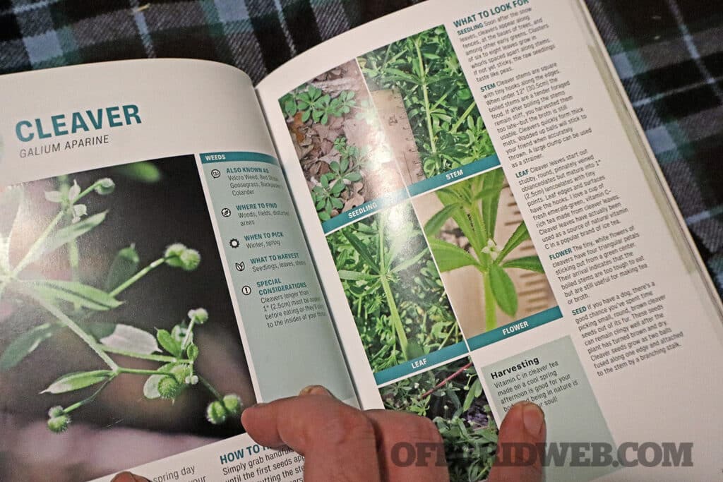 Foraging guide book