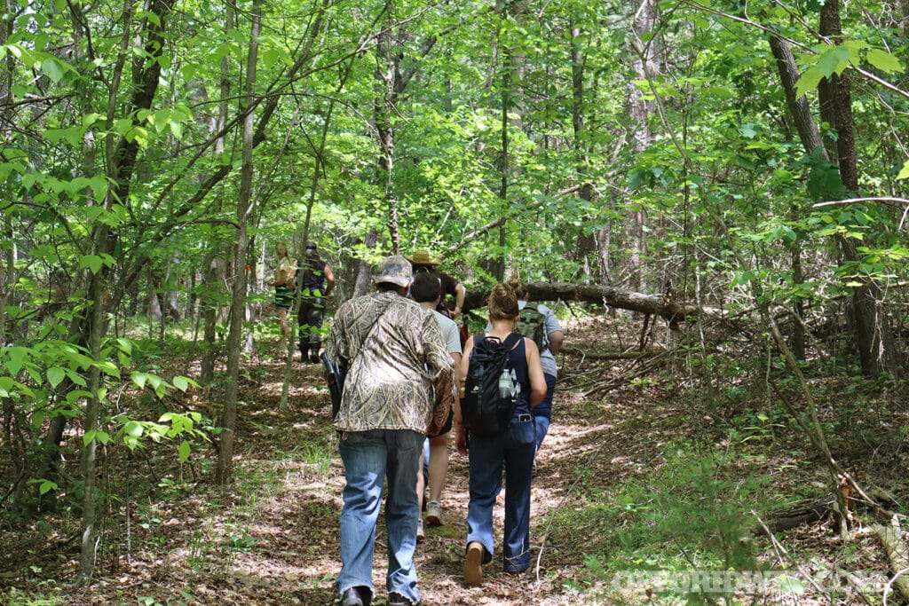 class in a forest