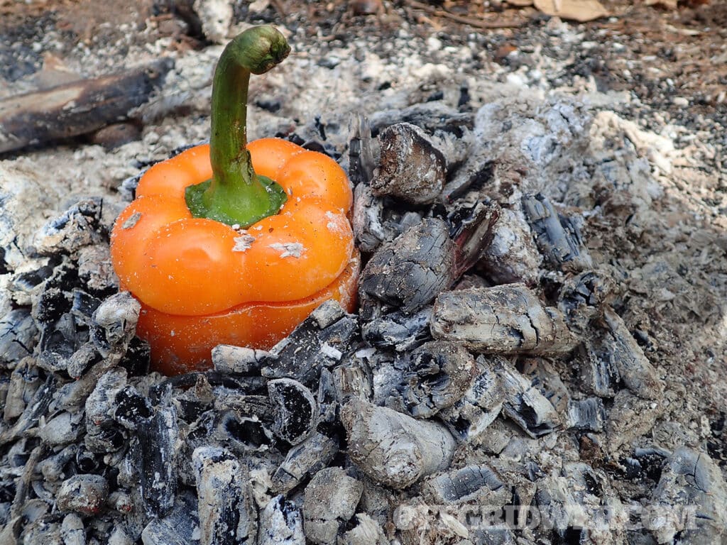 pepper cooking in coals