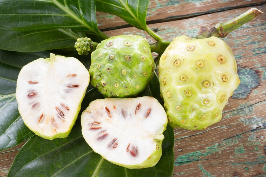 Hog Apple