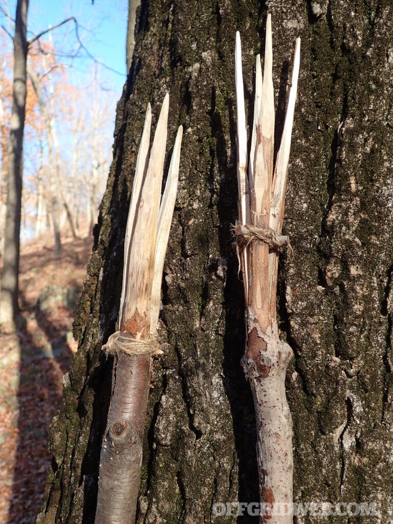wooden spears