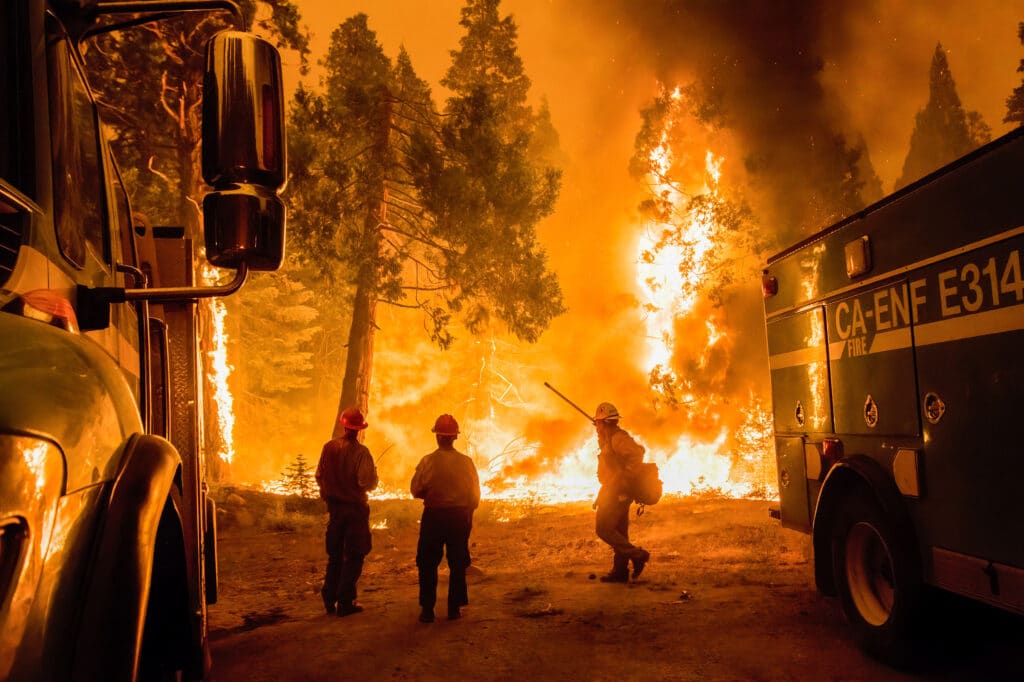 STRAWBERRY, CALIFORNIA, UNITED STATES - 2021/08/26: View of burning trees as the Caldor Fire grows to the Tahoe basin.The Caldor fire has grown to over 130,000 acres and threatens to grow to the Tahoe basin. These images where taken at a backfire set by crews in an effort to gain control on the Caldor fire. Cause still unknown at this time. (Photo by Ty O'Neil/SOPA Images/LightRocket via Getty Images)