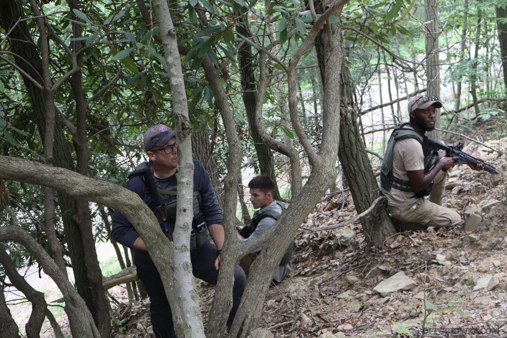 undisclosed particpants in the trees