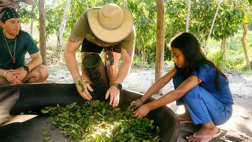 jungle tribes people making plant medicine