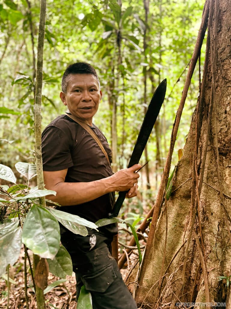 Amazon jungle tribesman