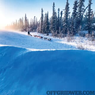 surviving-the-silent-season