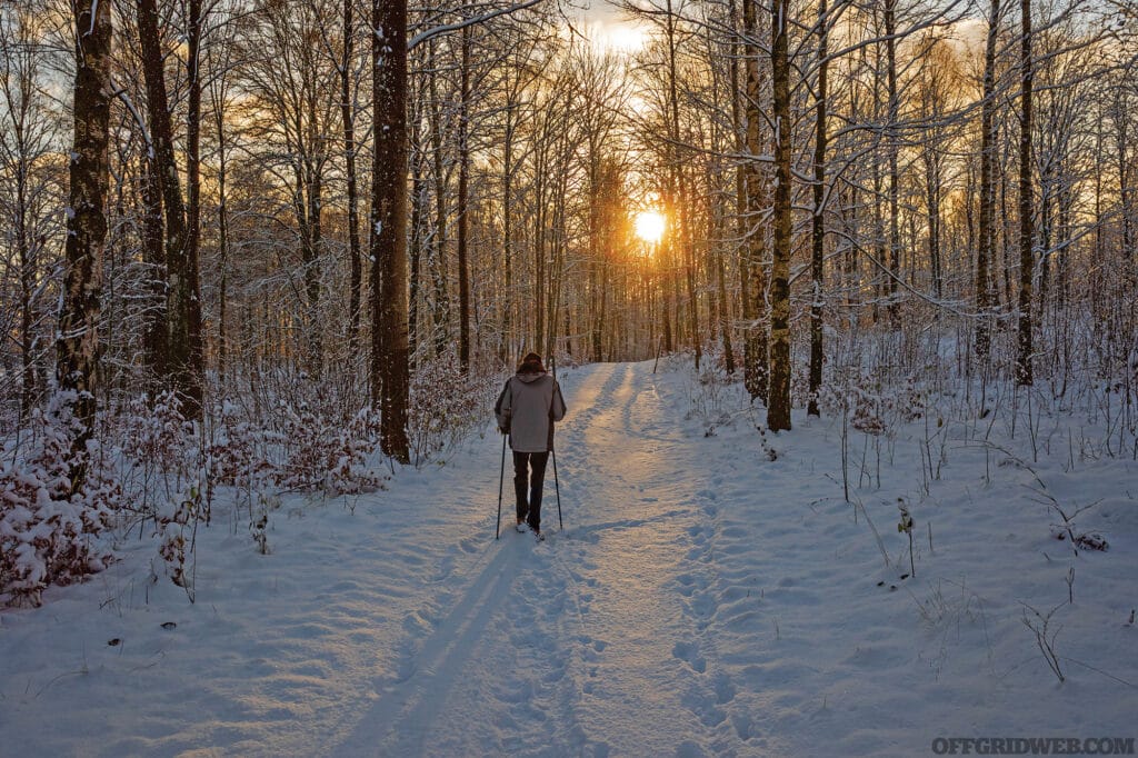 Exercise plays an enormous role in mental resilience. Even in the cold, getting out and moving will help boost your immune system, and your outlook on life.