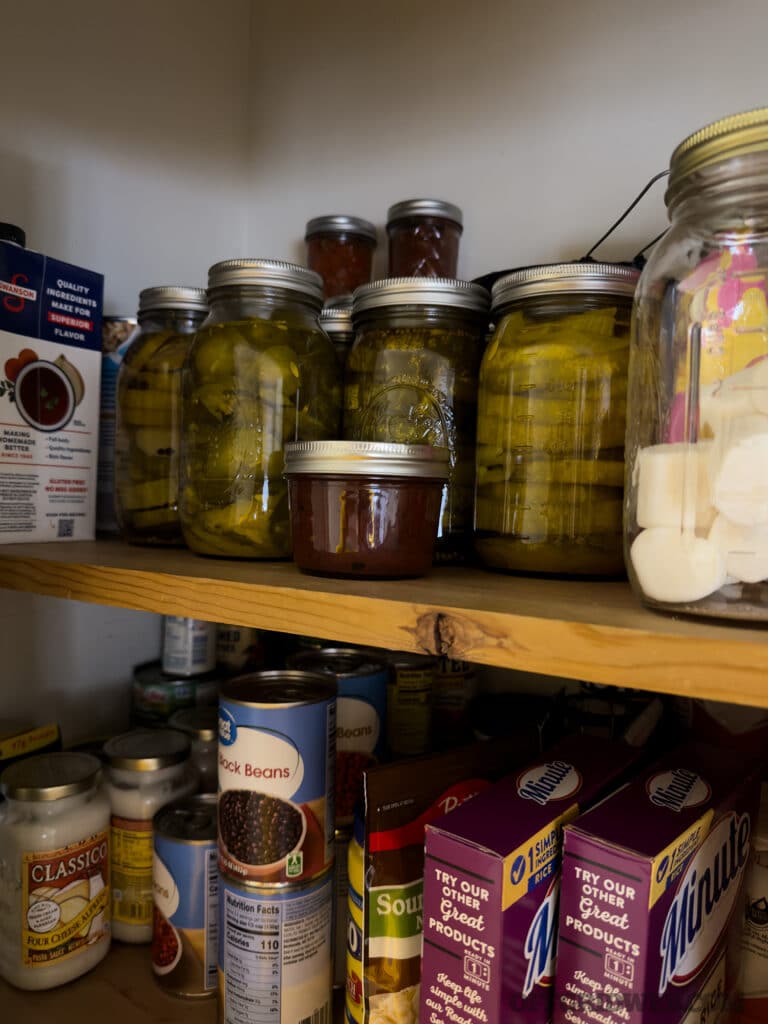 food preservation pickles