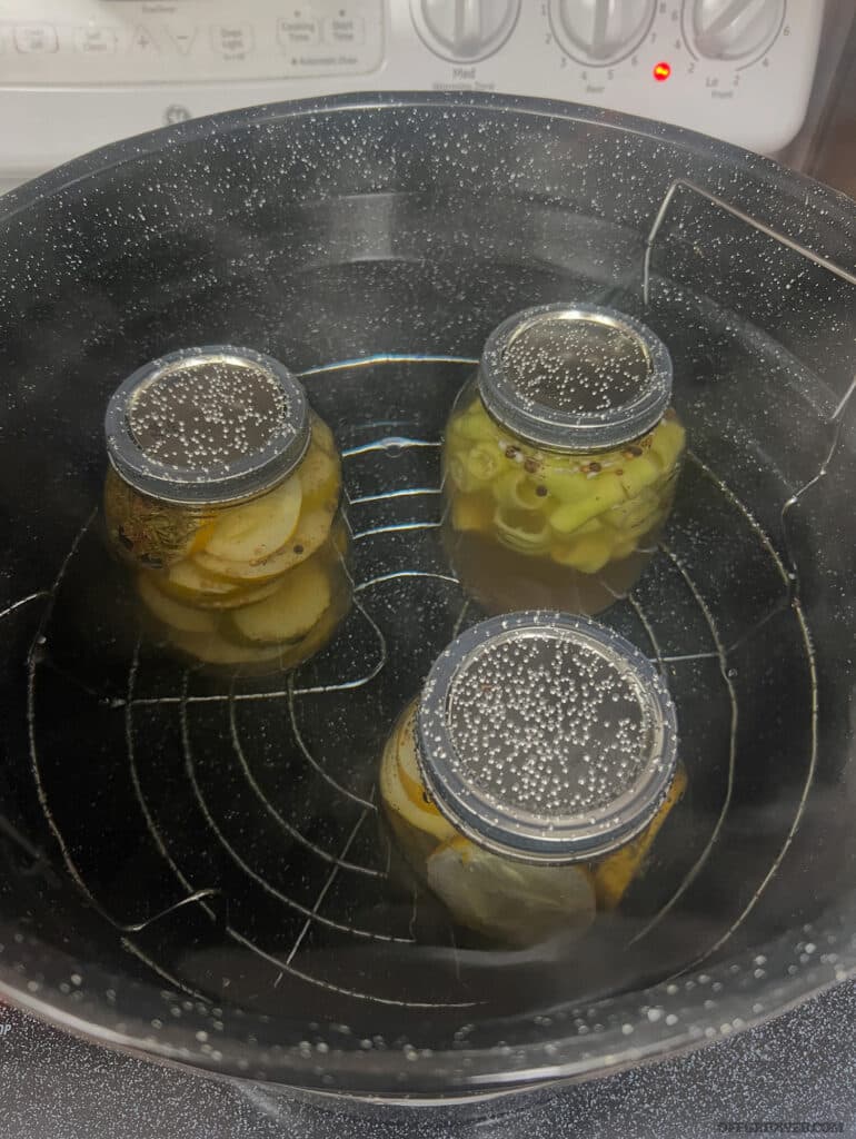 food preservation canning