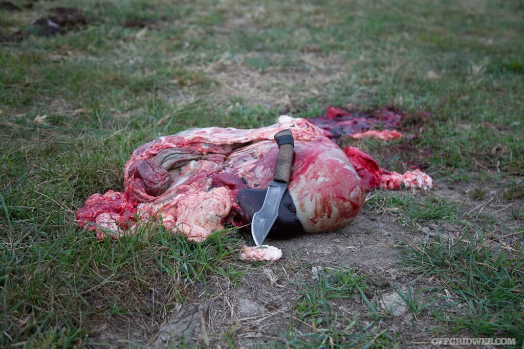 post deer processing after a hunt