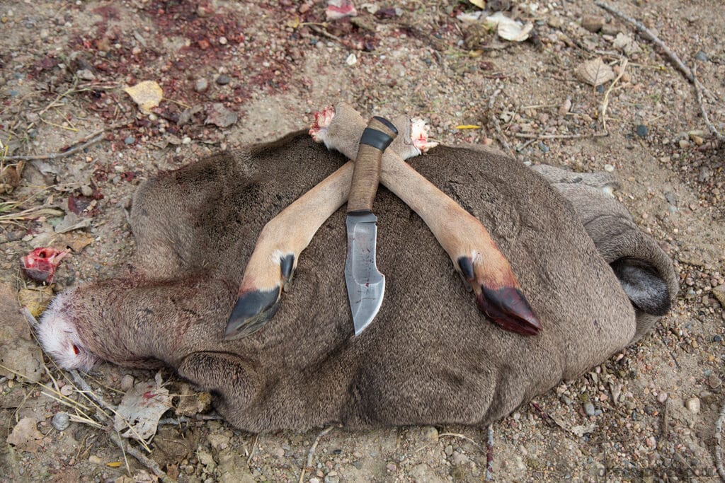 deer hide legs and a knife