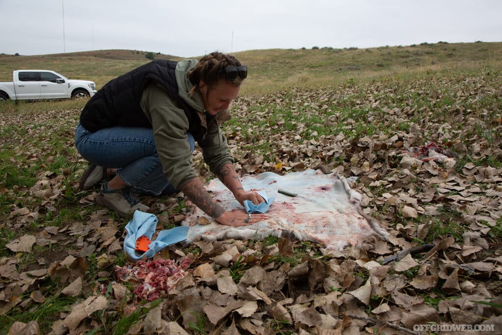 hunter processing a deer hide