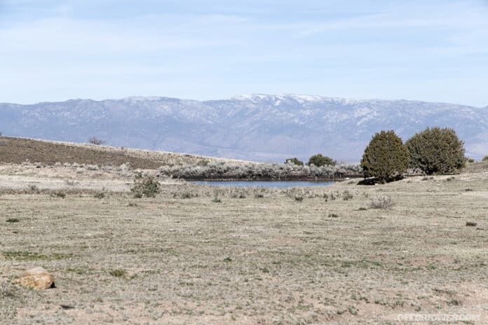 desert landscape