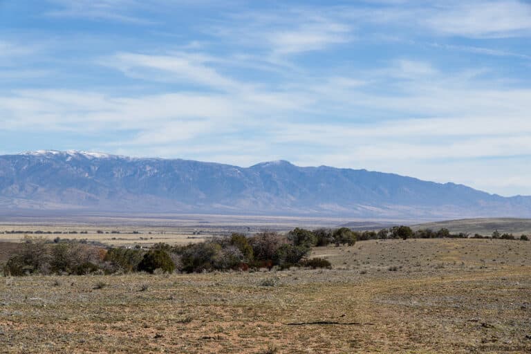 Desert Survival: Sand, Fire, and the Art of Stayin’ Alive