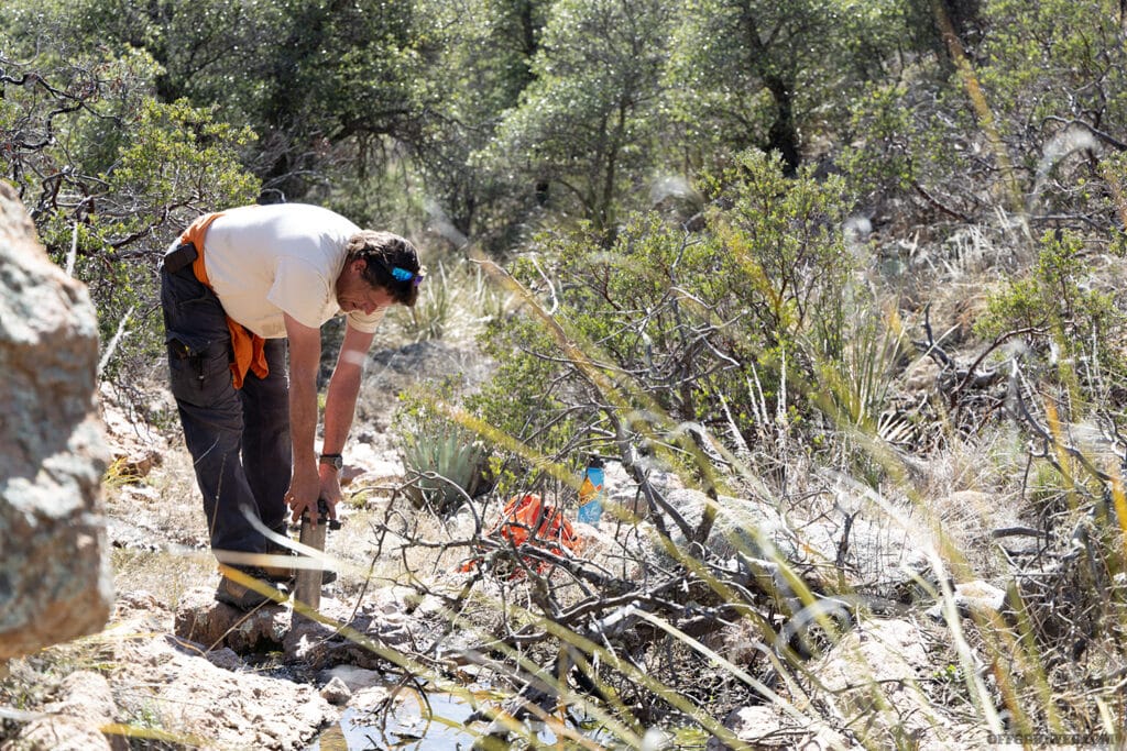 obtaining water in desert survival