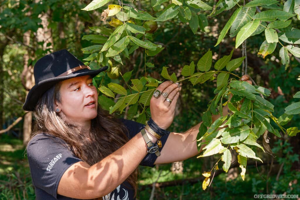 JACKS GENEGA TEACHING ABOUT PLANTS