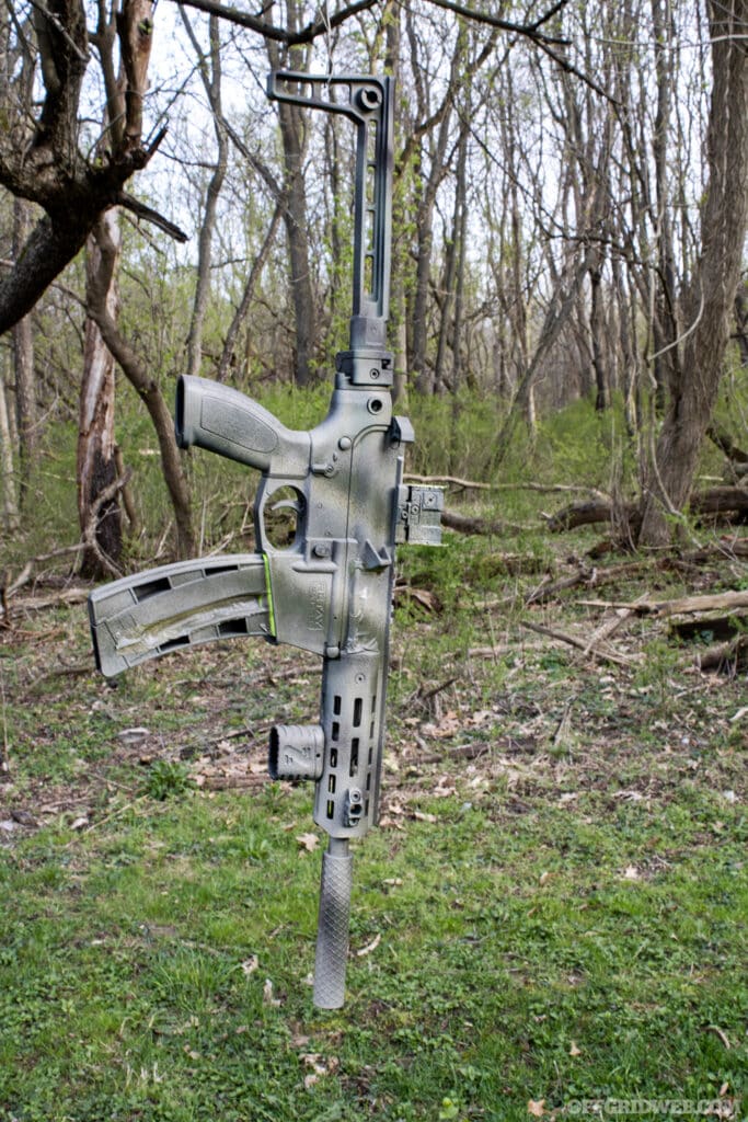 RTAY .22lr pianted