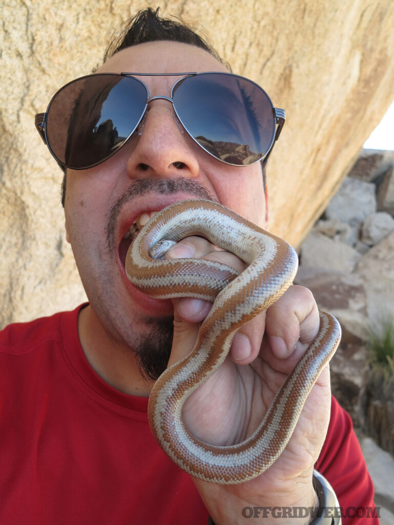 reuben bolieu with snake