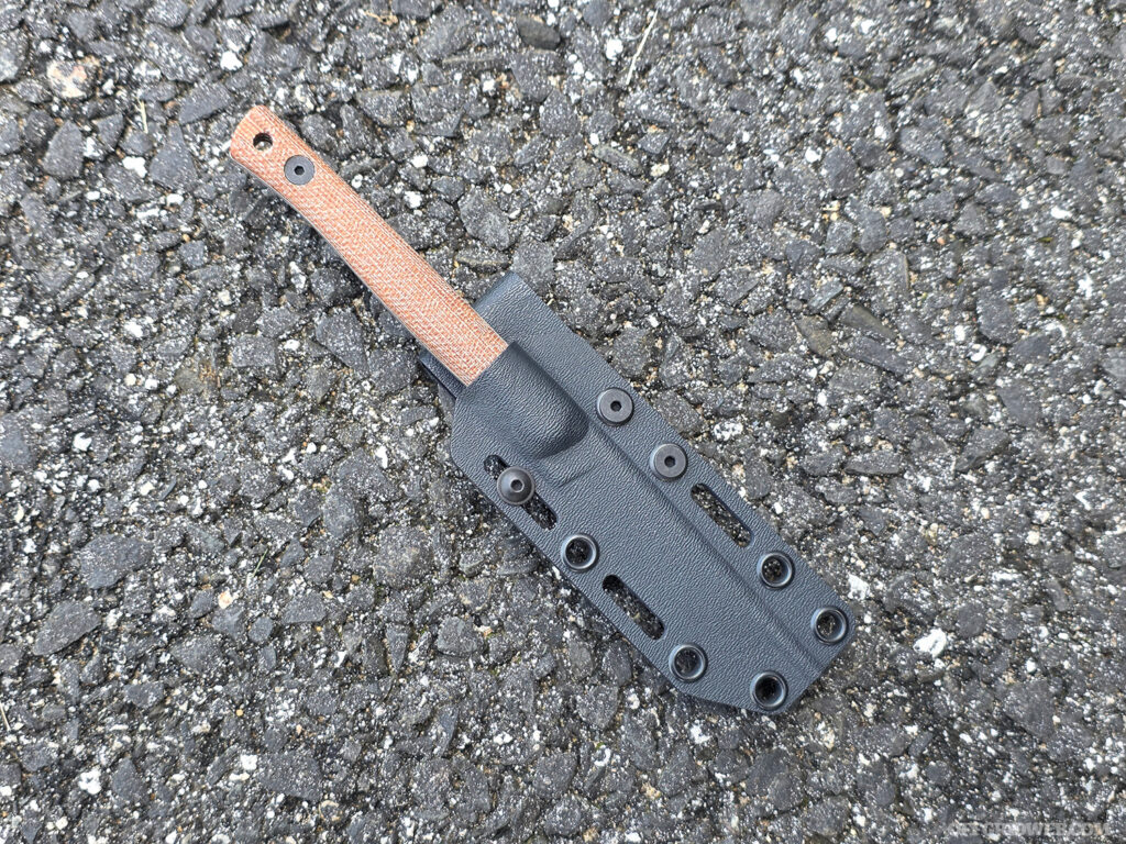 drake in sheath