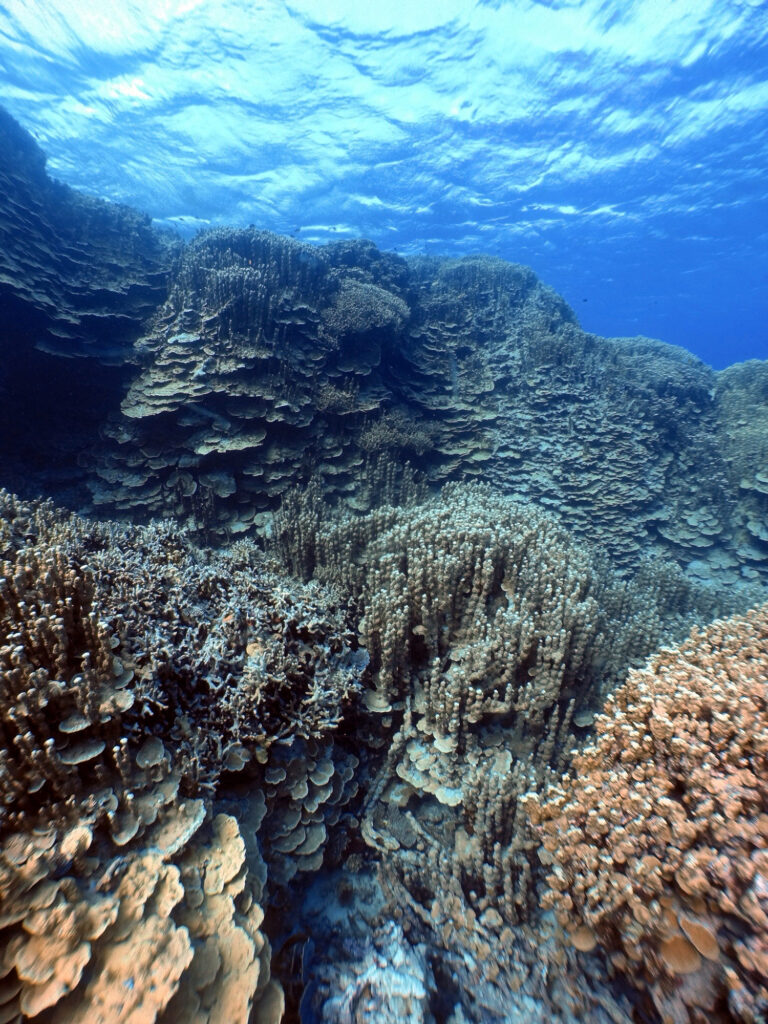marshall islands underwater