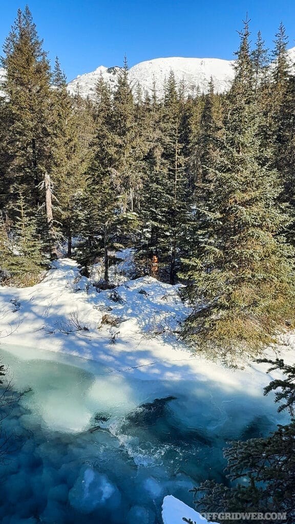 Ptarmigan Creek glacier melt in forest