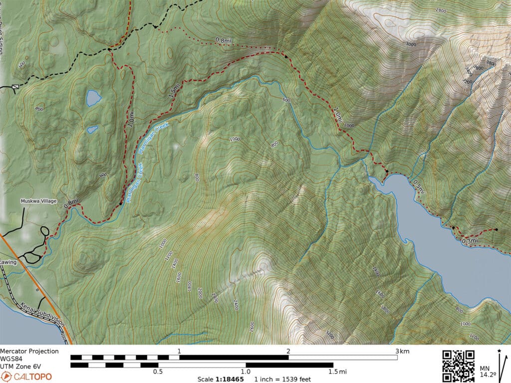 Ptarmigan Creek topo map