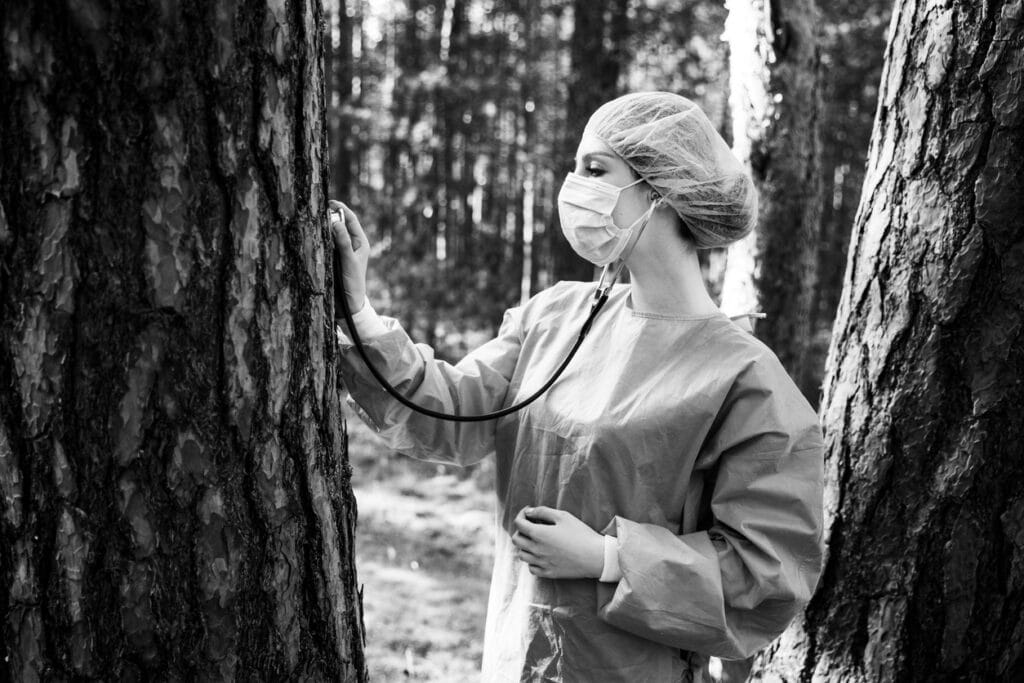 Female doctor examines tree using stethoscope wearing medical mask and surgical cap and gown in forest